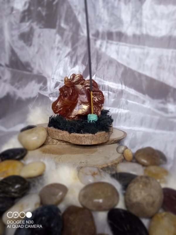 Casa Daisy: cabello con porta incienso