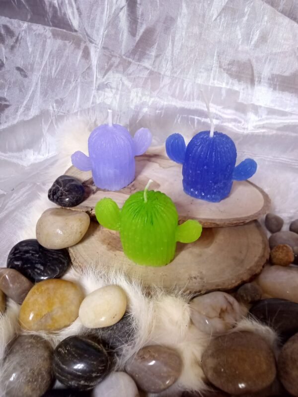 Casa Daisy: velas de cactus