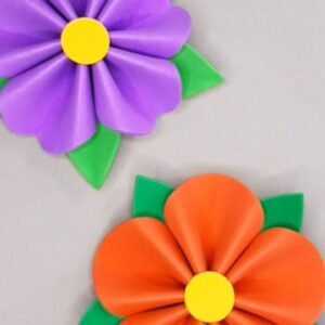 Casa Daisy: foami