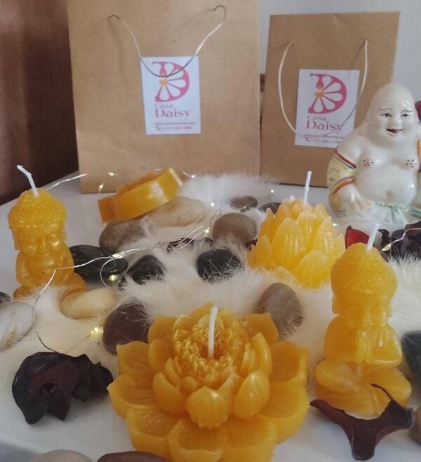 Colección holística