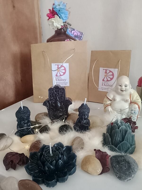 Colección holística