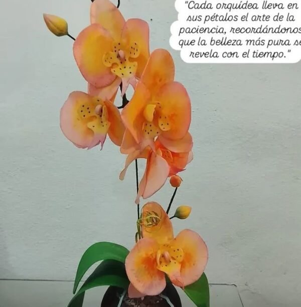 Orquídeas en maceta