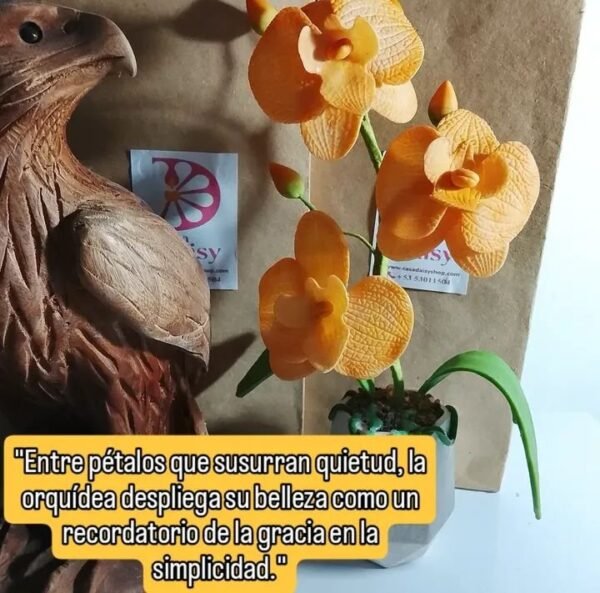 Orquídeas en maceta