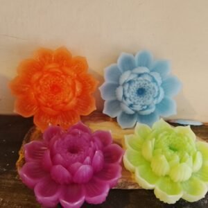 Flor de loto abierta