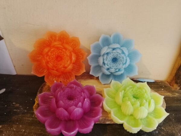 Flor de loto abierta