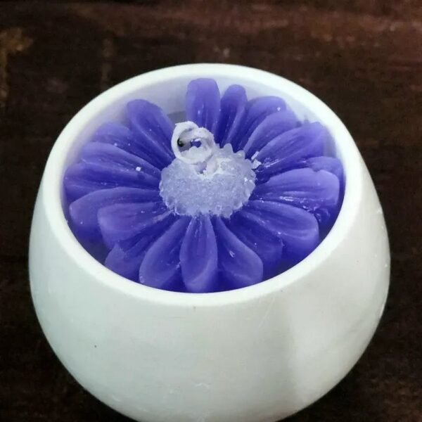 Maceta con Margarita