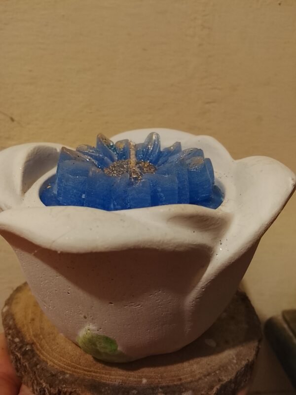 Maceta con Margarita